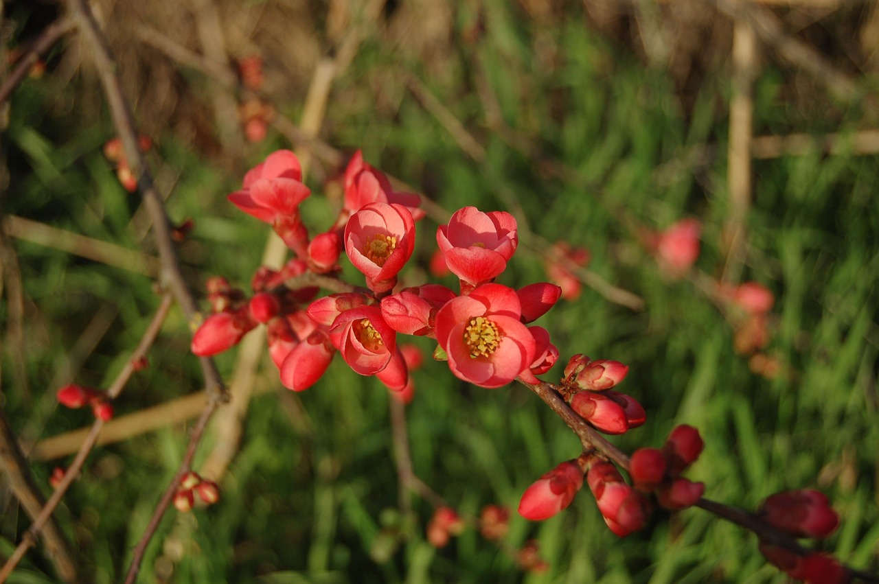 金辰国际花园最新动态更新,最新资讯速递
