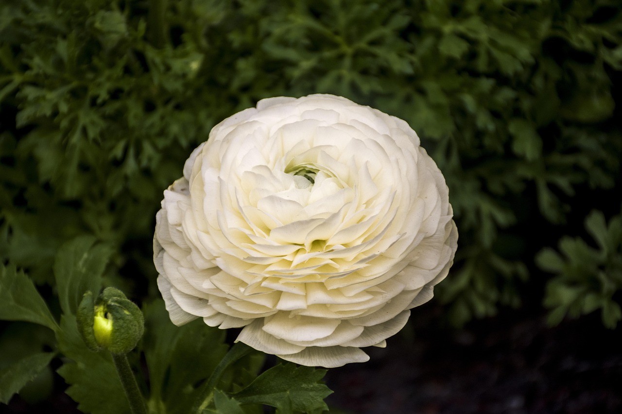 金辰国际花园最新动态更新,最新资讯速递