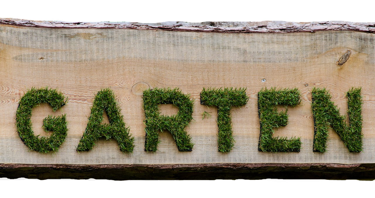 金辰国际花园最新动态更新,最新资讯速递