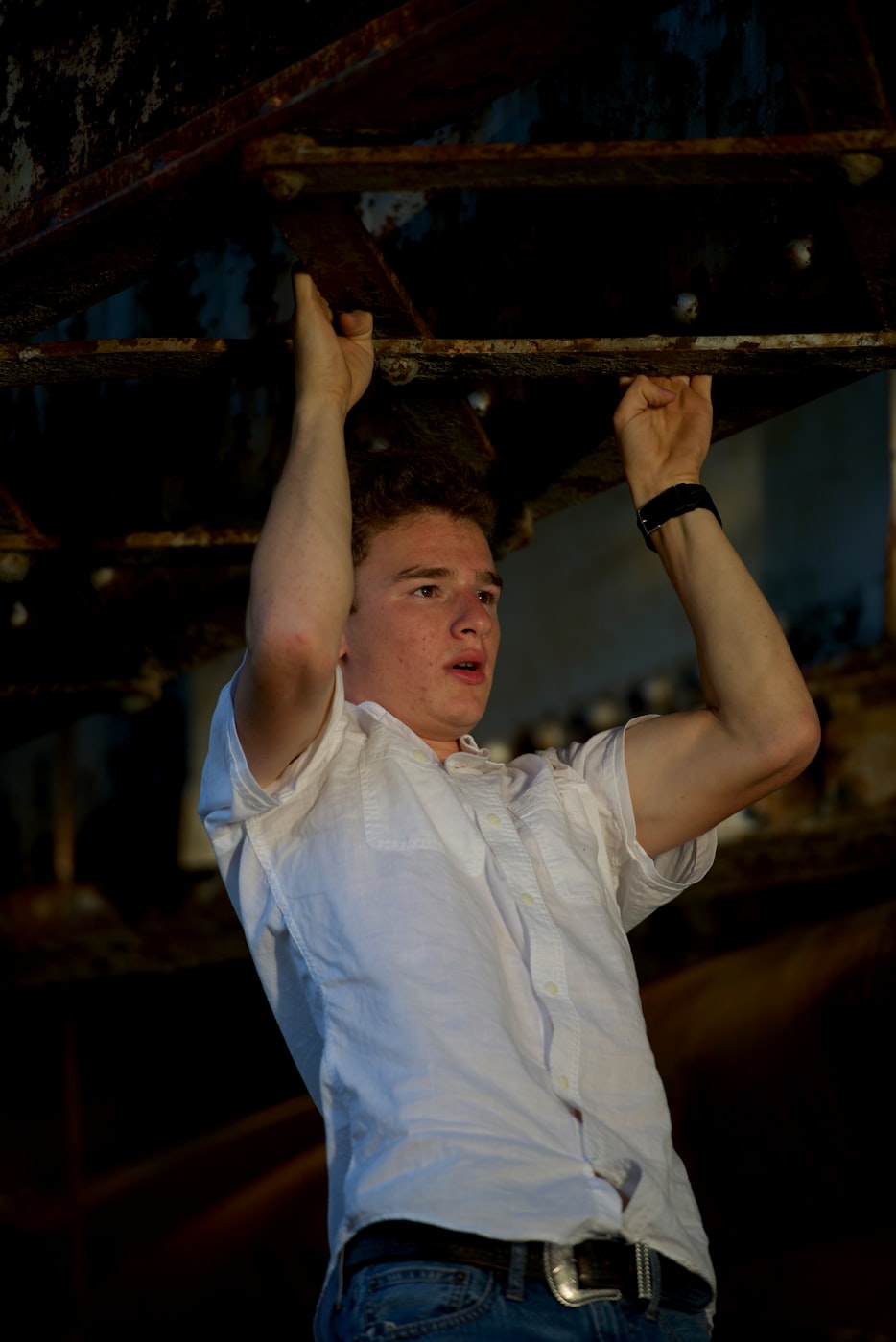 闲林有轨电车动态,城市绿色出行的新篇章