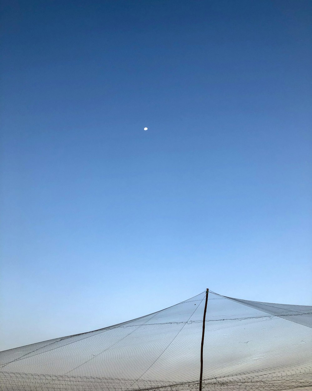 石牌疫情最新动态，全面应对，共筑防线