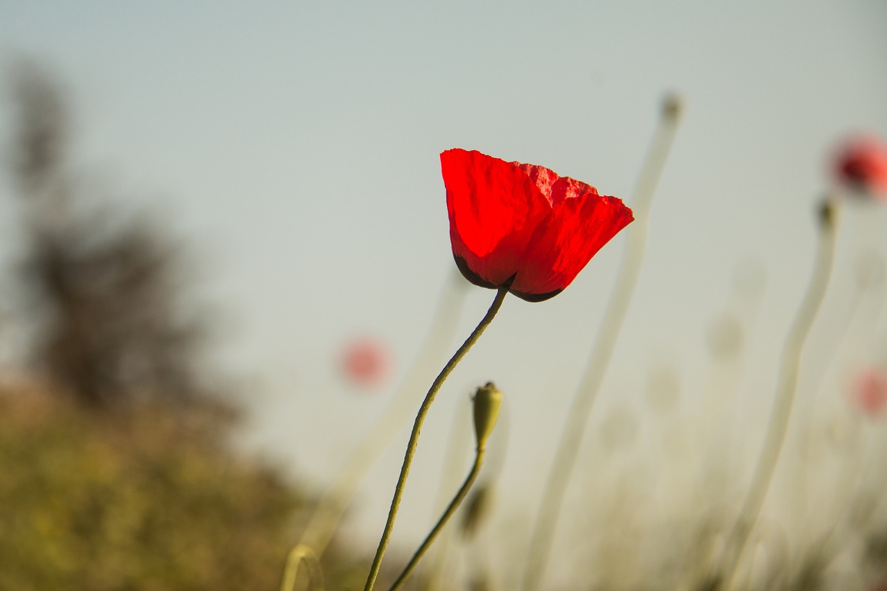 曲沃最新疫情动态,防控措施及公众应对指南