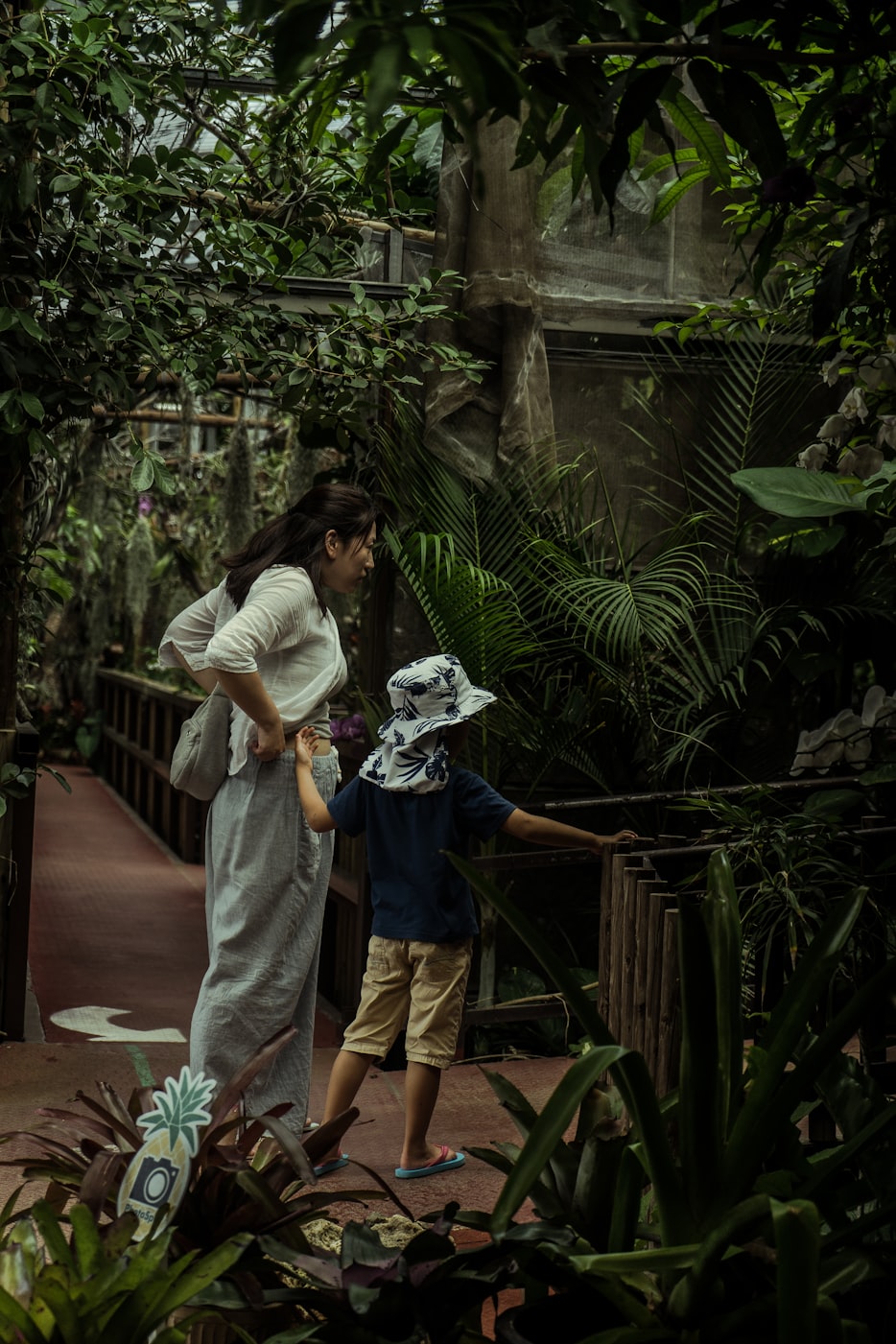 表妹与伦理电影的交织情感探索，伦理边界的挑战与情感纠葛