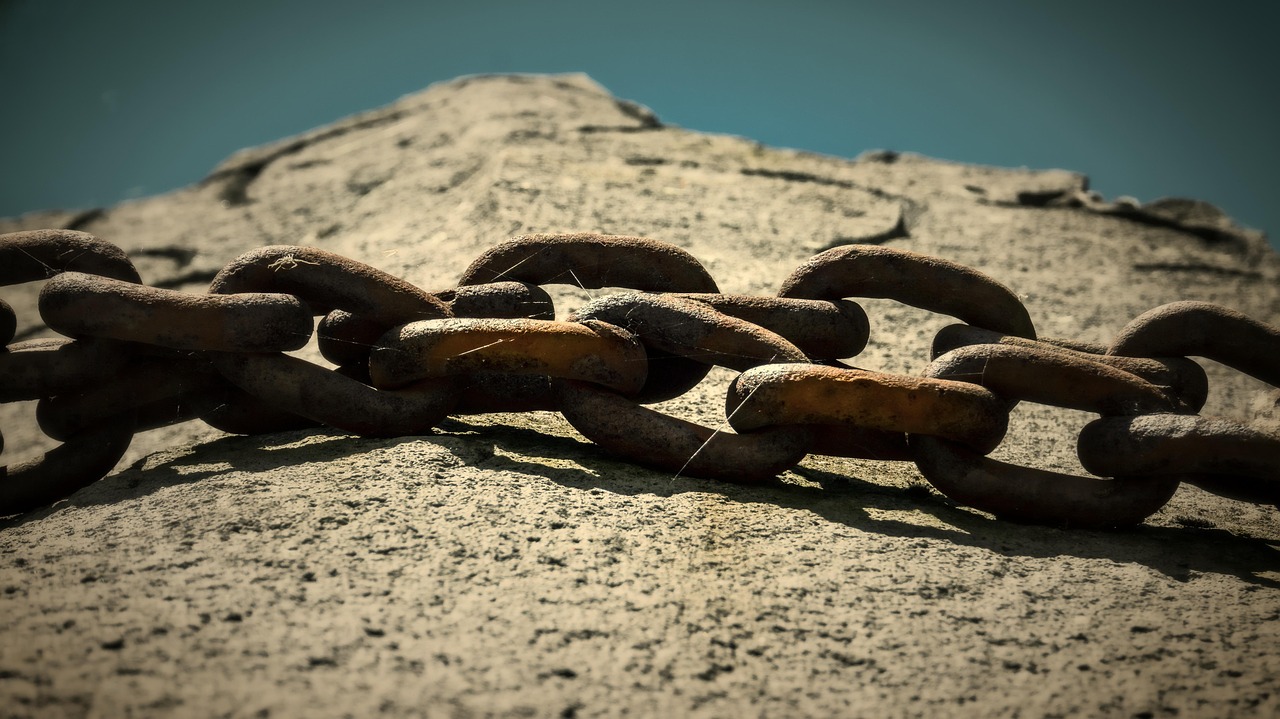 影视行业反思与自我革新,最新反片动态深度解析