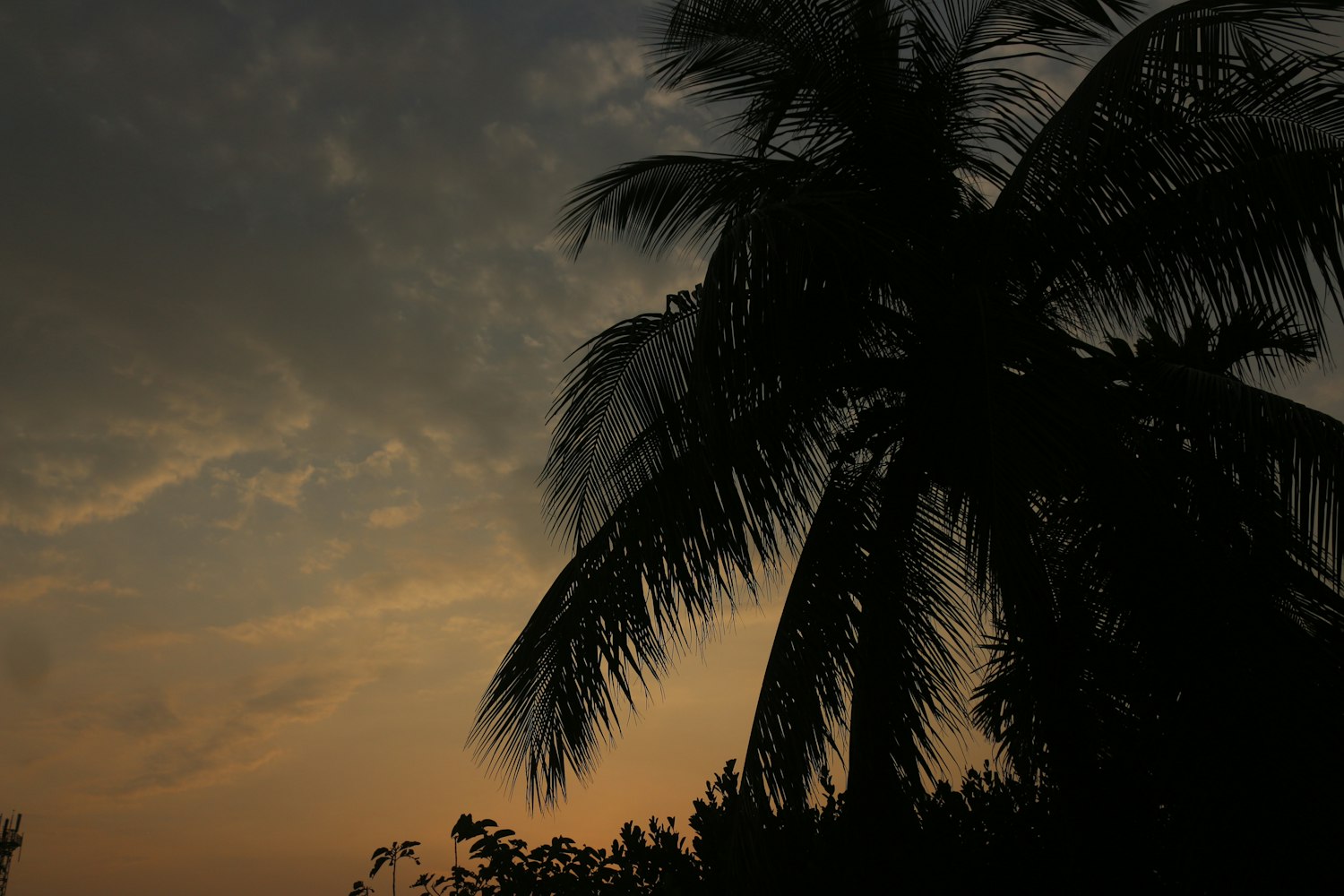失眠与动漫,夜晚色彩的探索