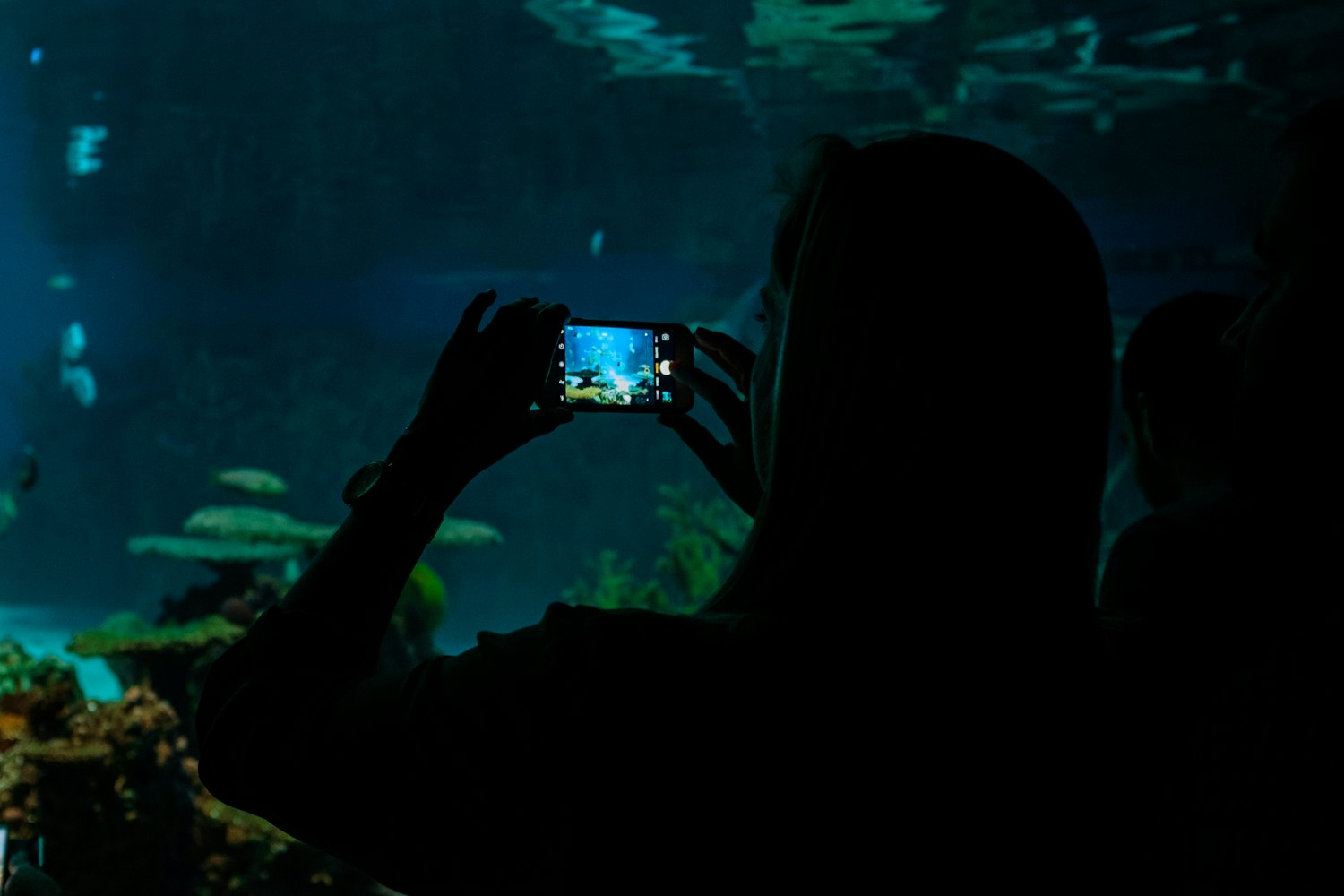 探索时代前沿的科技魅力,最新精选佳作分享