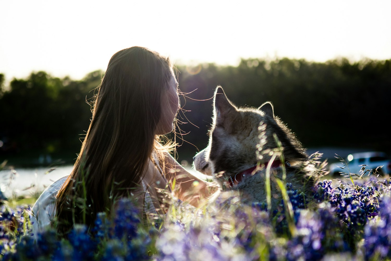 电影朋友的女友,友情与爱情的交织旅程