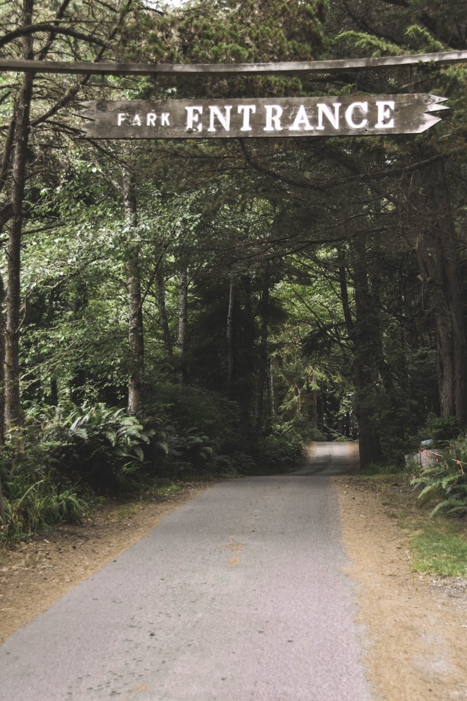 野花论坛最新入口探索与发现之旅