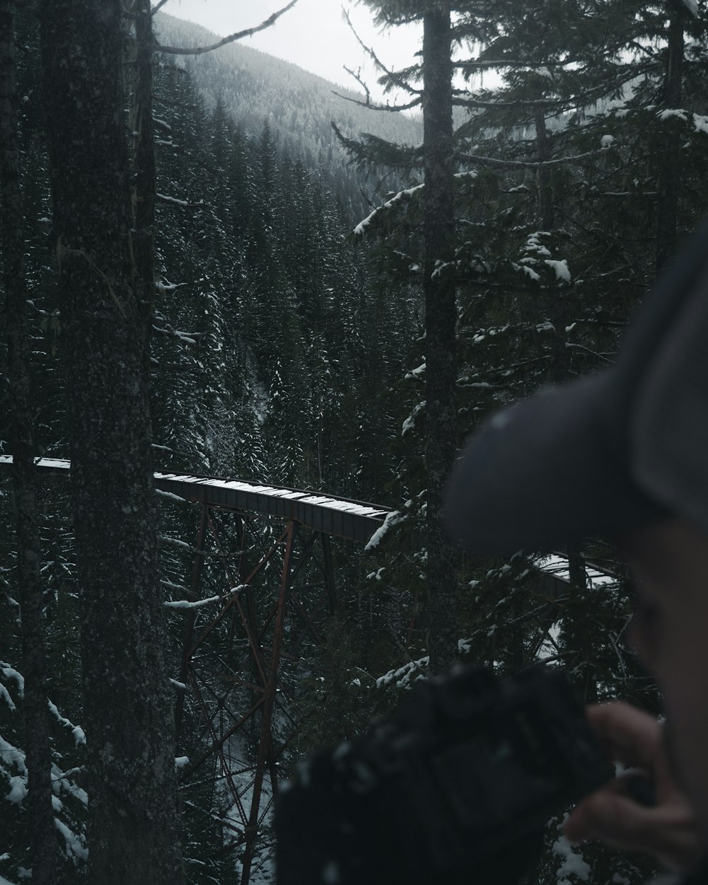 黑豹预告片惊艳曝光,期待碰撞视觉盛宴