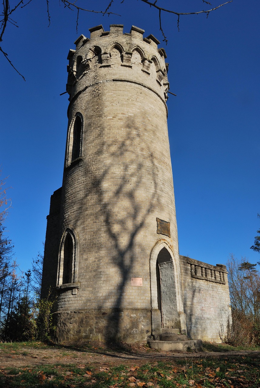 从11abcd探索最新前沿动态