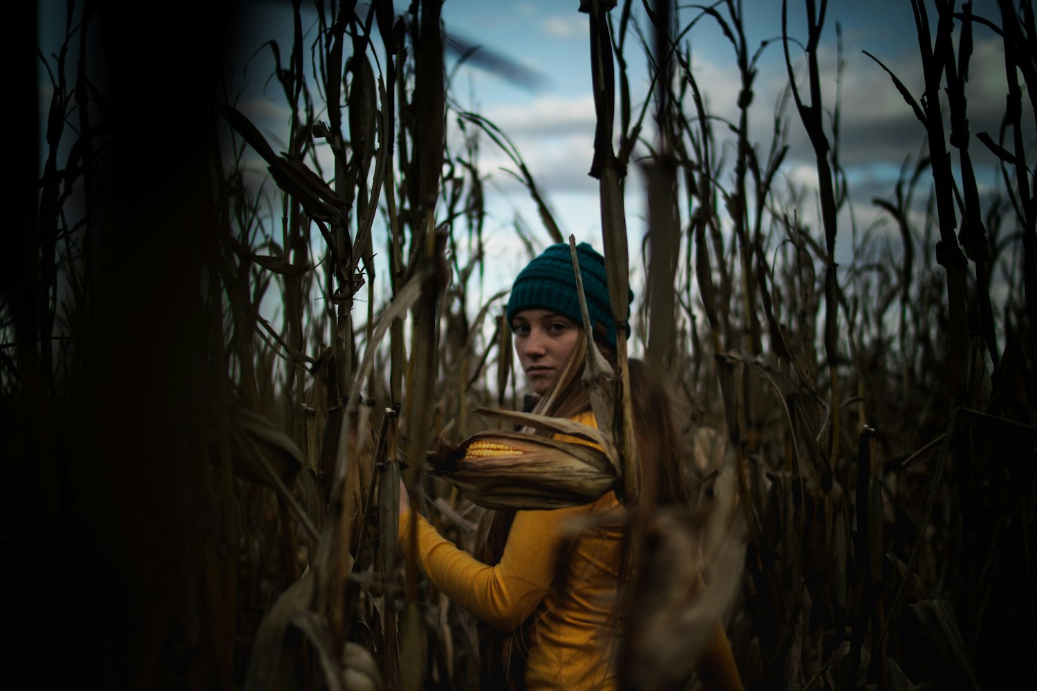 露西电影,光影世界的奇幻之旅探索