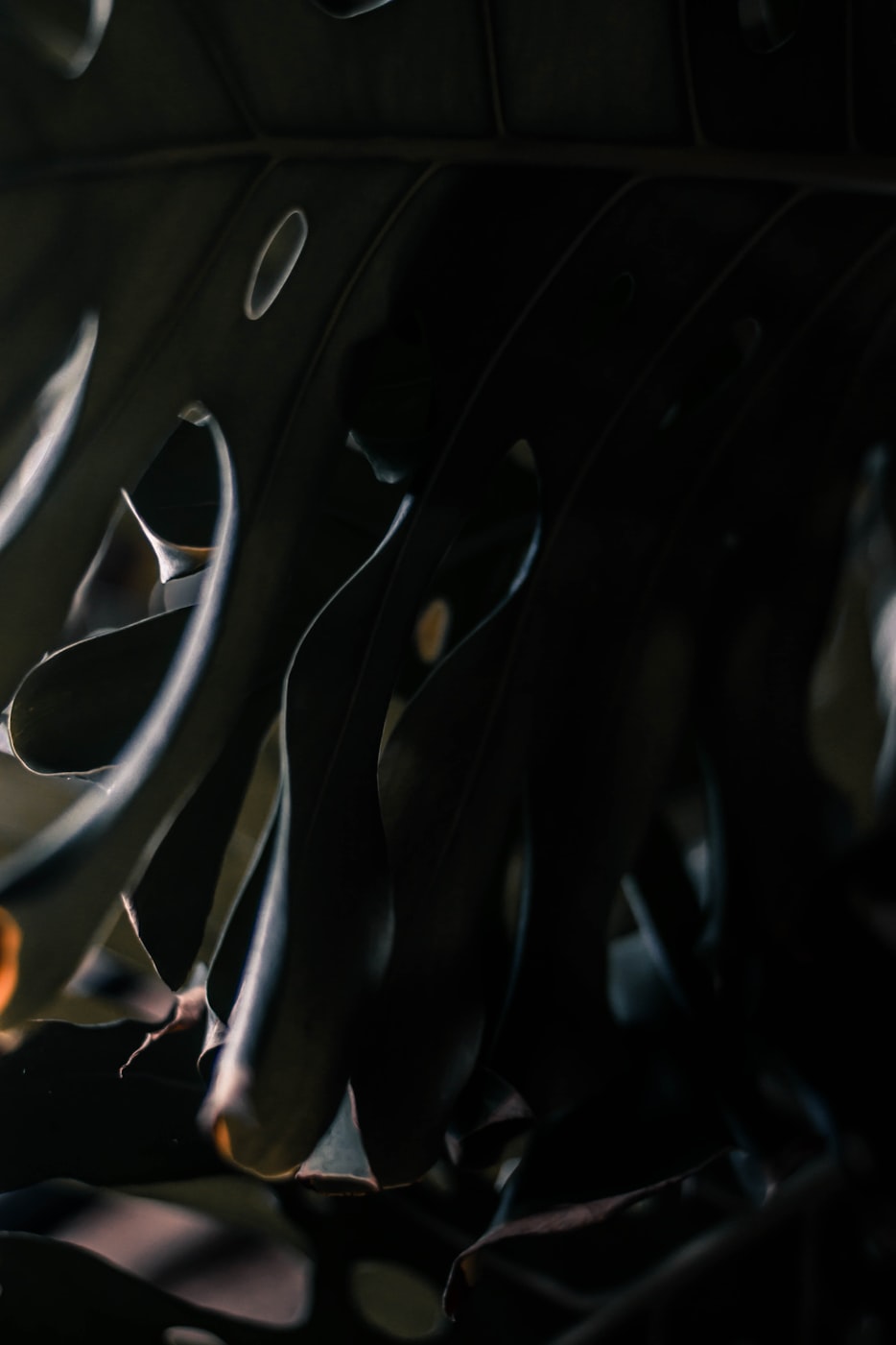 动漫地狱少女,魅力展现与深度解析