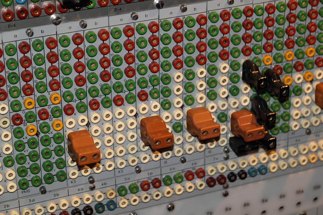 未来石龟市场行情深度分析与展望