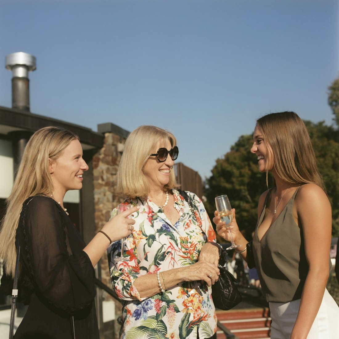 鼎演员,演艺之路的闪耀之星