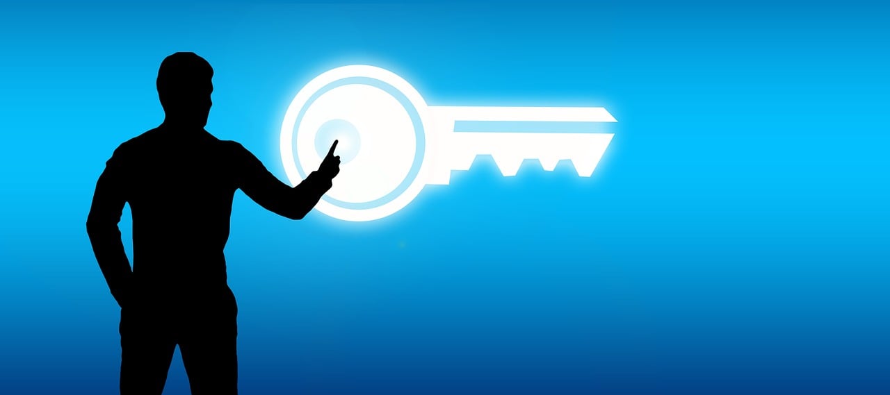 免费观看电视节目的网站,优势、挑战与策略选择