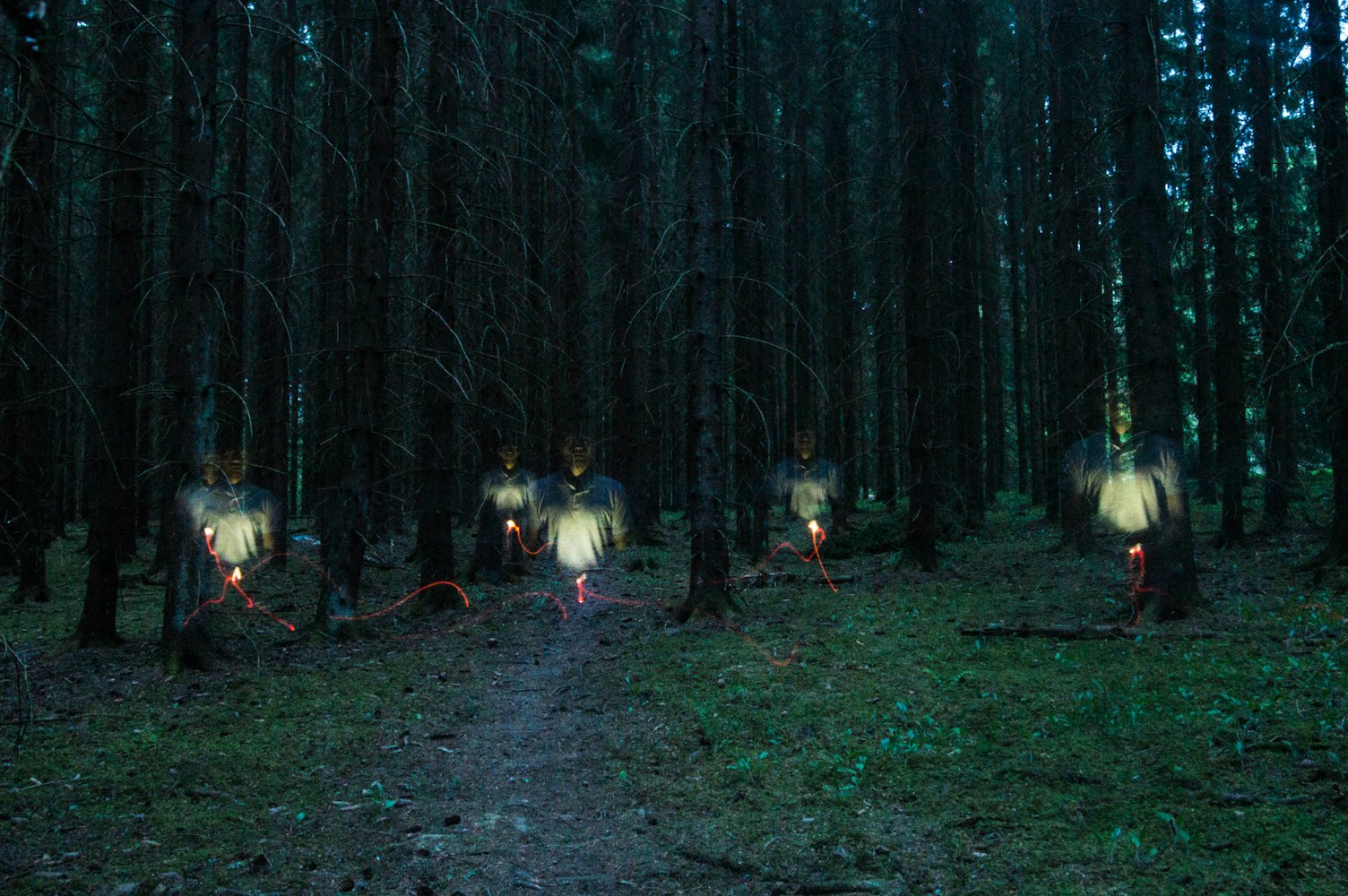 动漫樱花树图片,美的瞬间与艺术的永恒之美