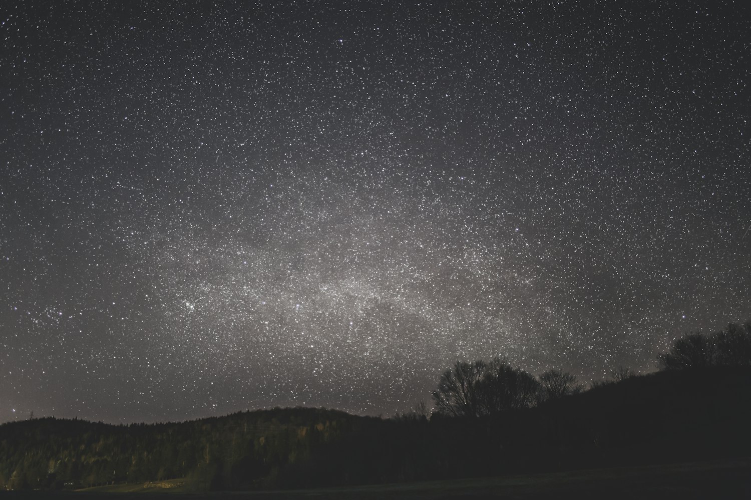 马苏最新动态,娱乐圈的新篇章闪耀星光