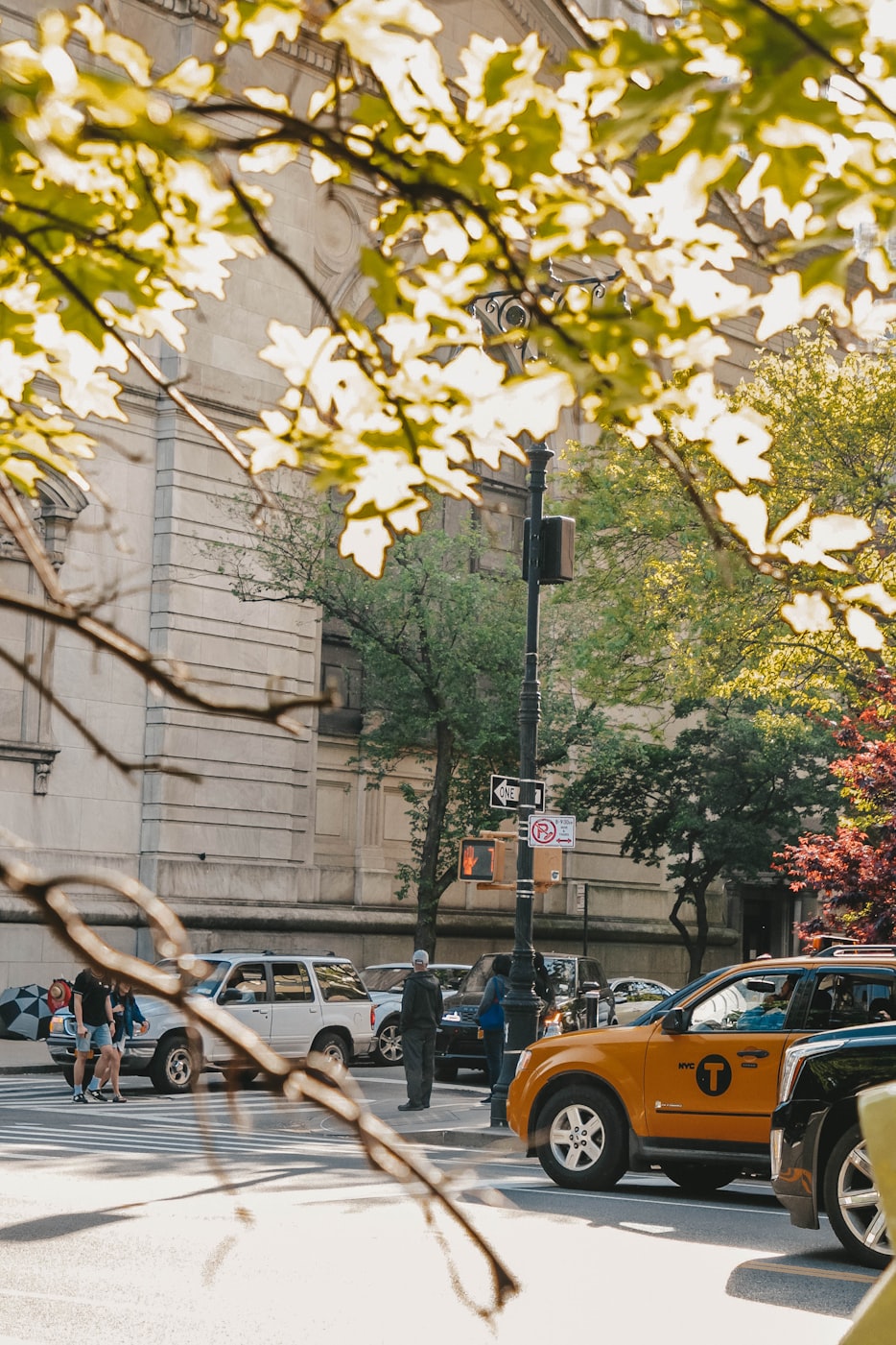 最新科二S路驾驶技巧视频,轻松掌握技巧,应对考试无压力