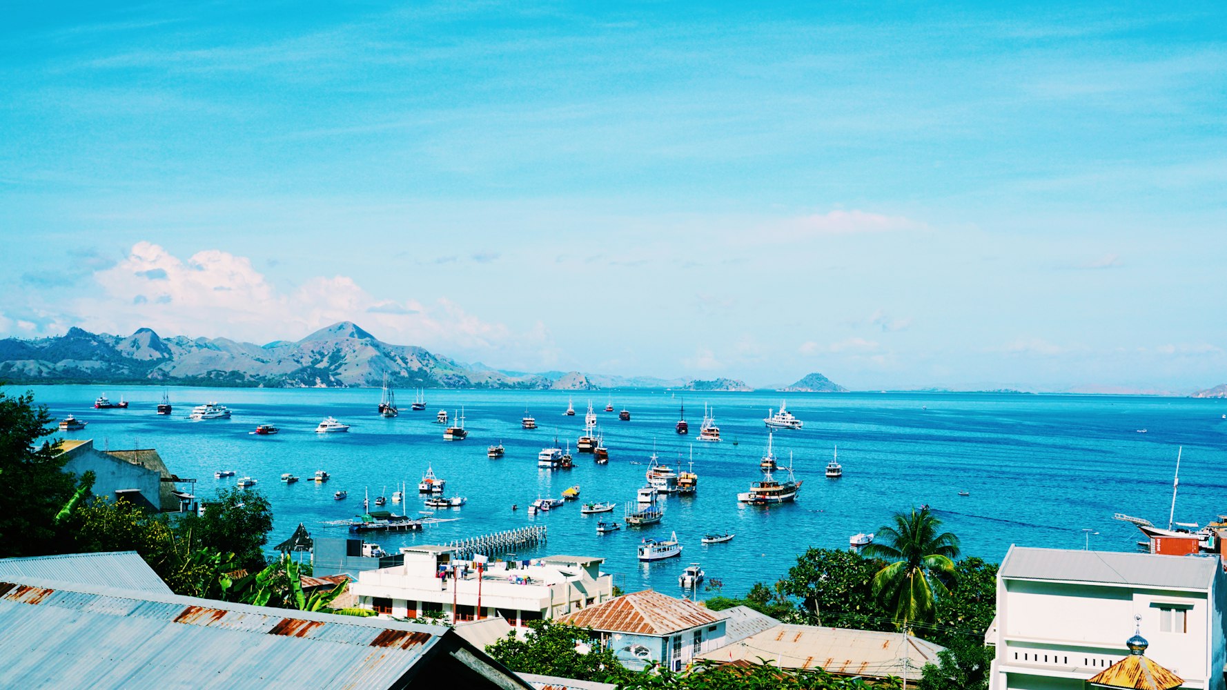 乐嘉最新资讯,多元领域新动态探索