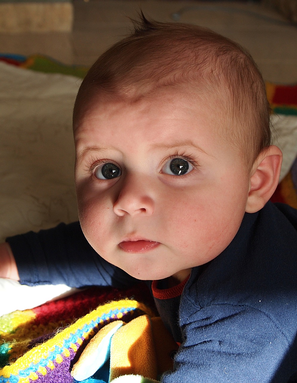 芯片技术下的肾脏疾病最新动态与研究综述