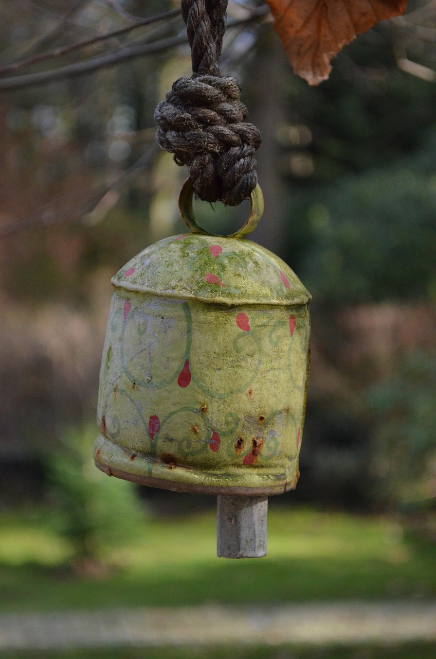 安贝尔花园最新动态更新