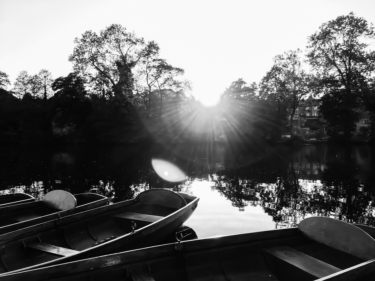 安贝尔花园最新动态更新
