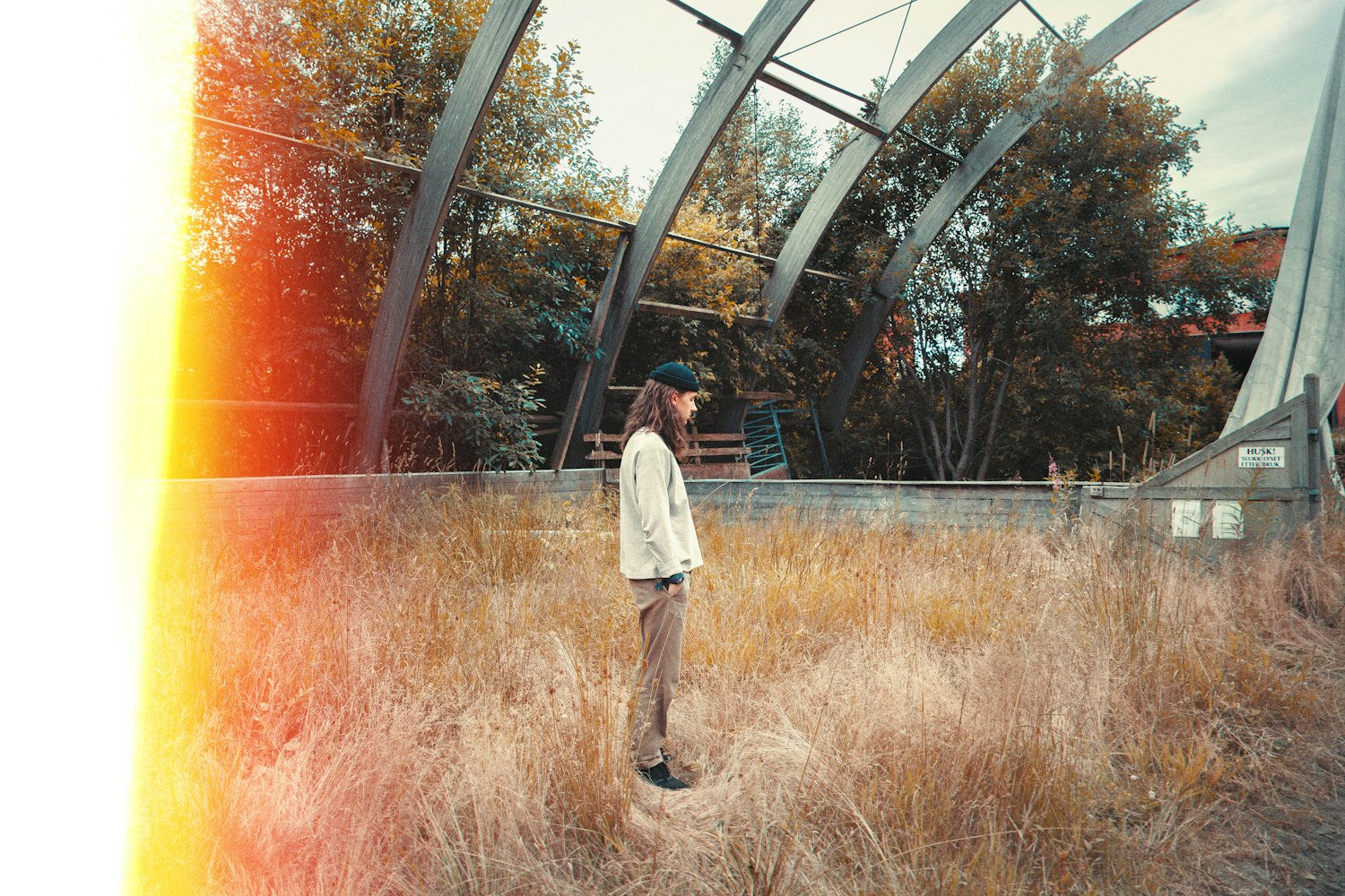 电影狼,自然与人性的野性呼唤探索之旅