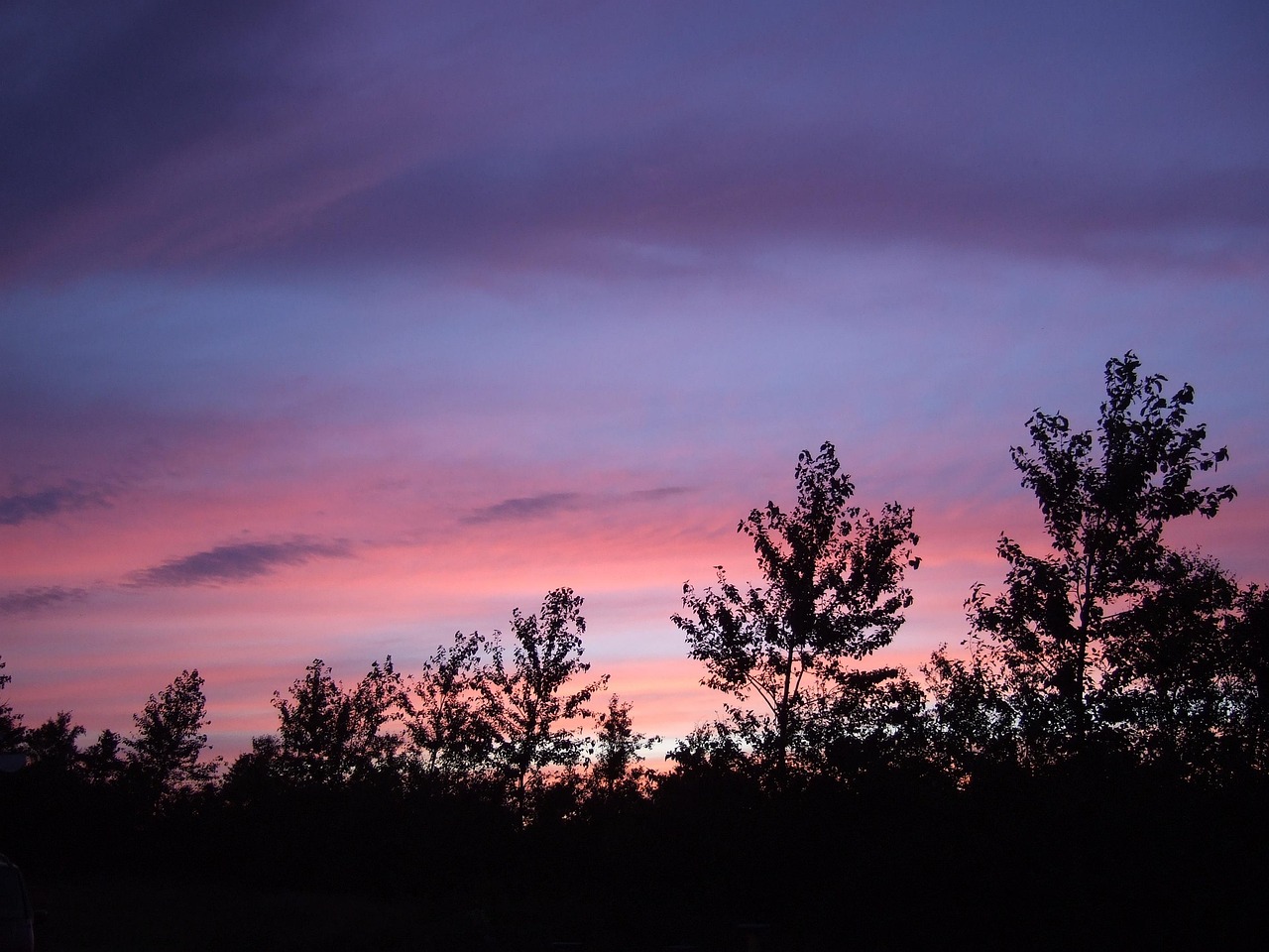 后来电影,重塑影视艺术魅力,展望未来发展