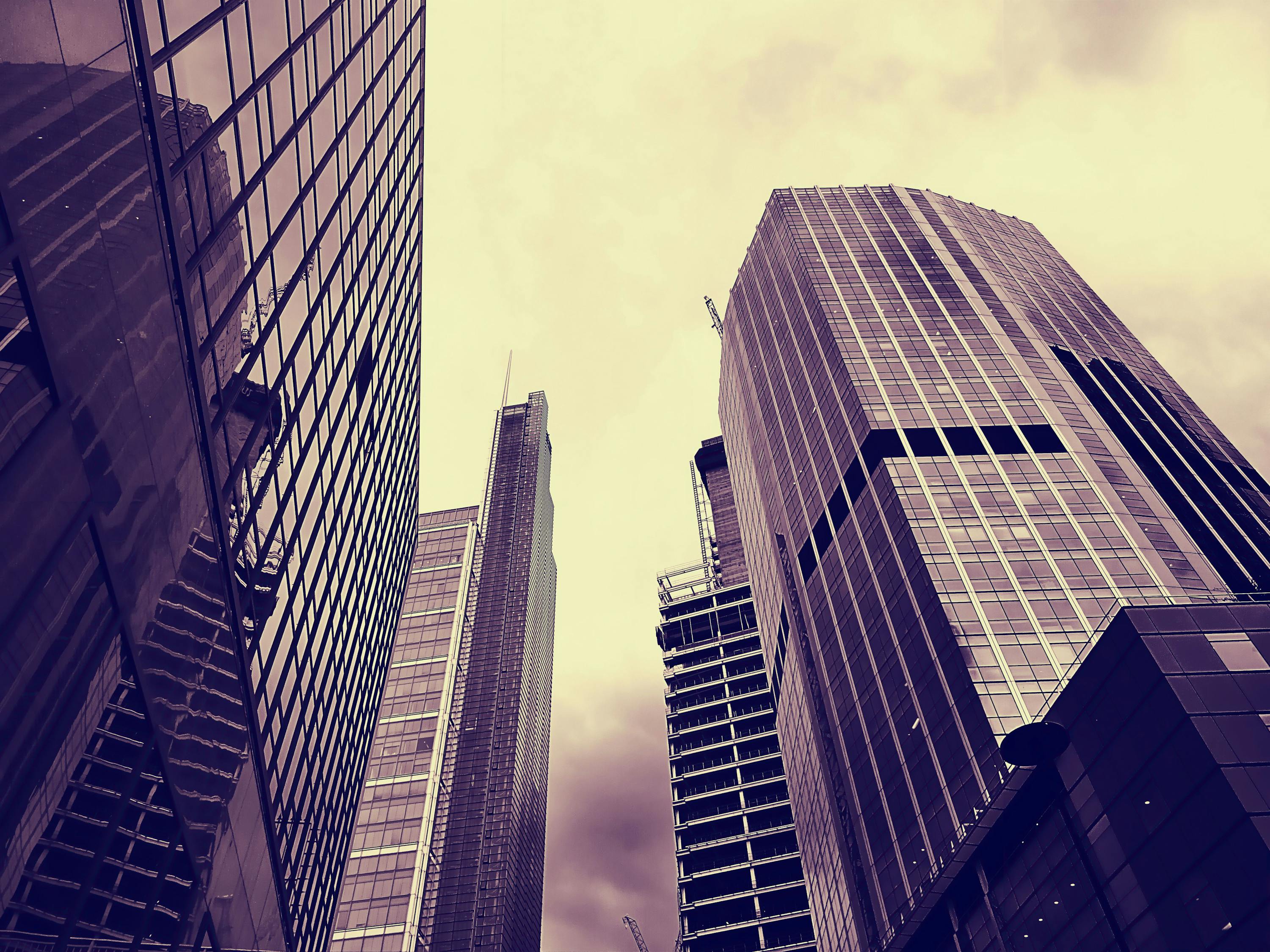 聊城新闻网最新资讯，解读城市发展与民生热点