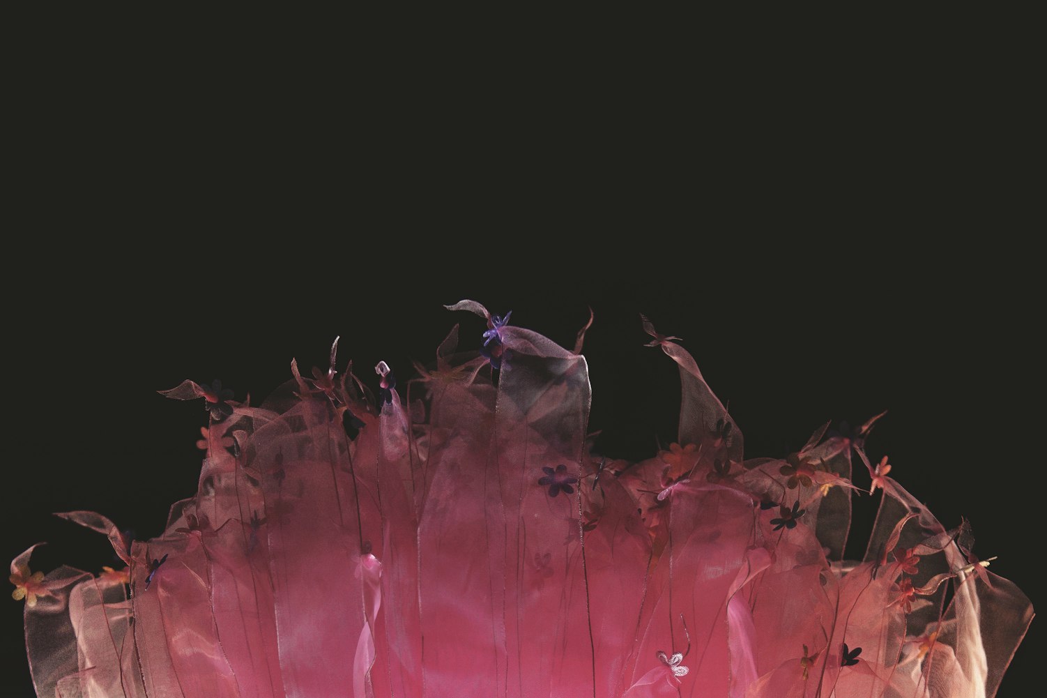 女王动漫图片的魅力与深远影响