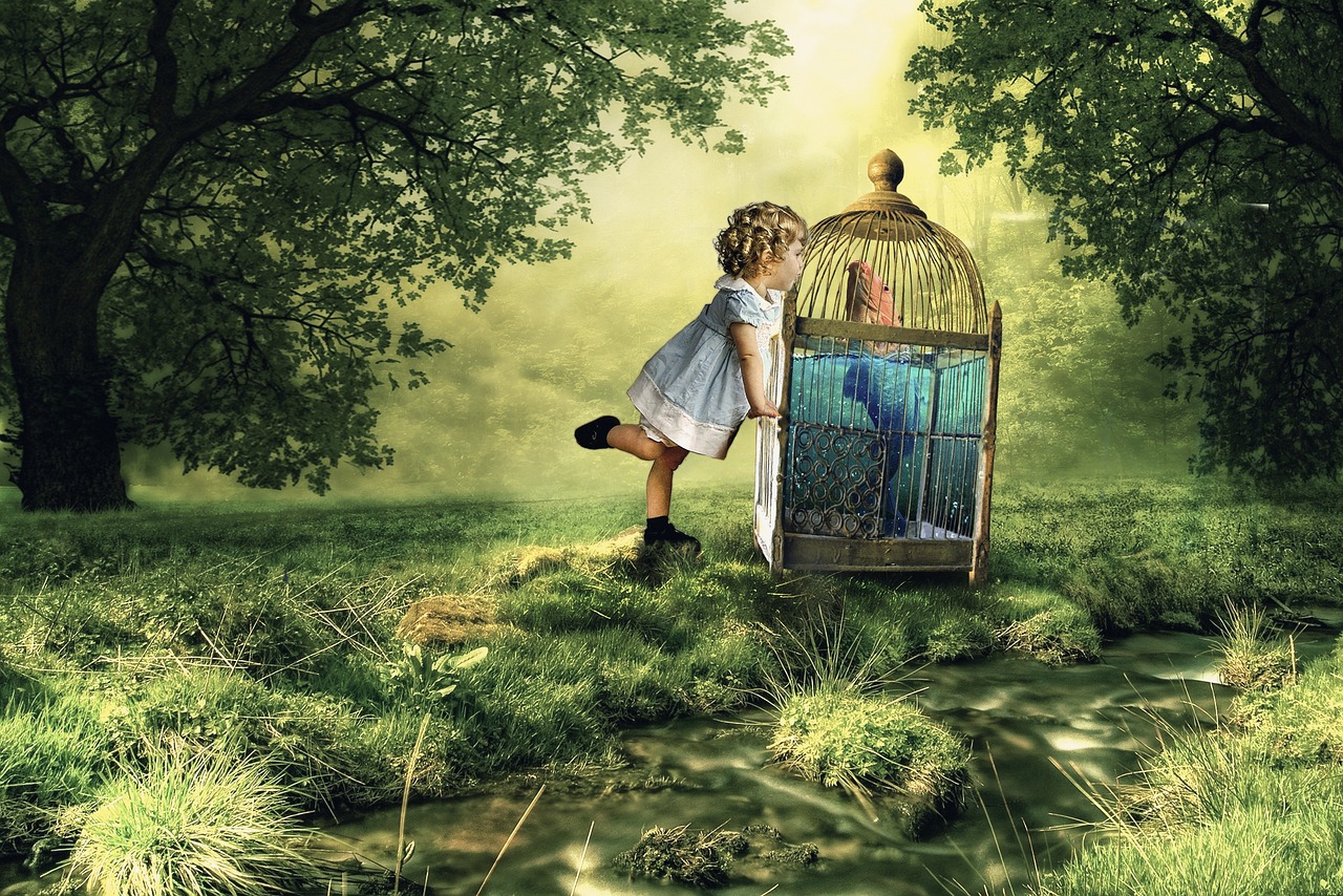 乌鸦动漫图片的魅力与深远影响