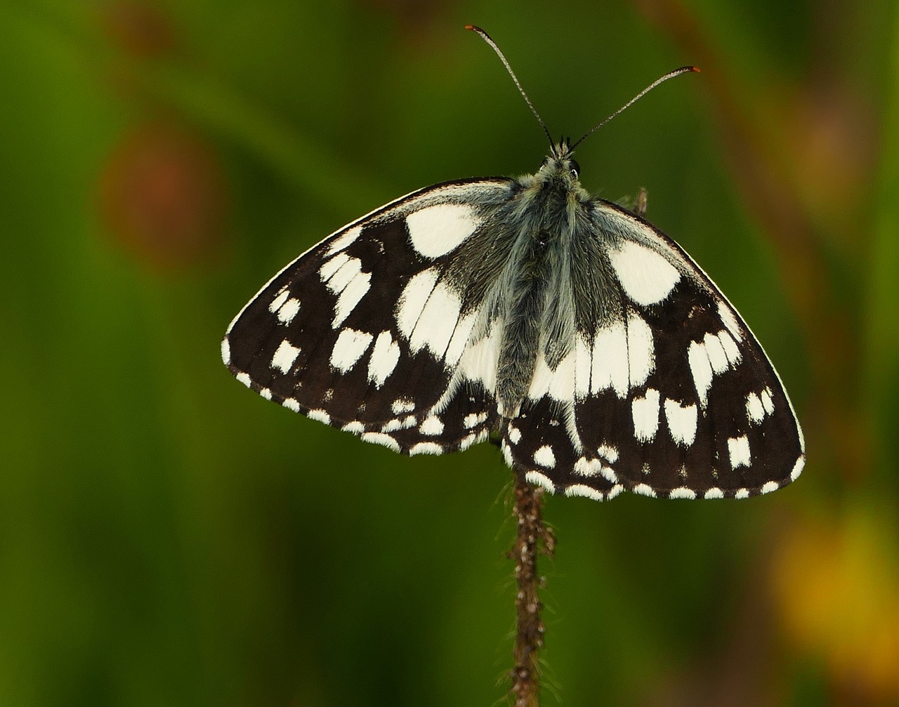 兴业县房产最新价格动态及市场趋势深度解析