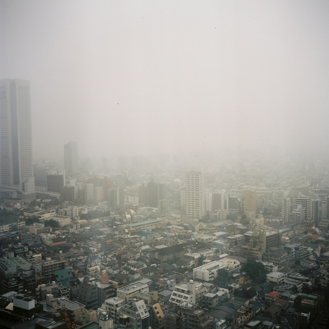 公路电影，自由之路的影像艺术探索