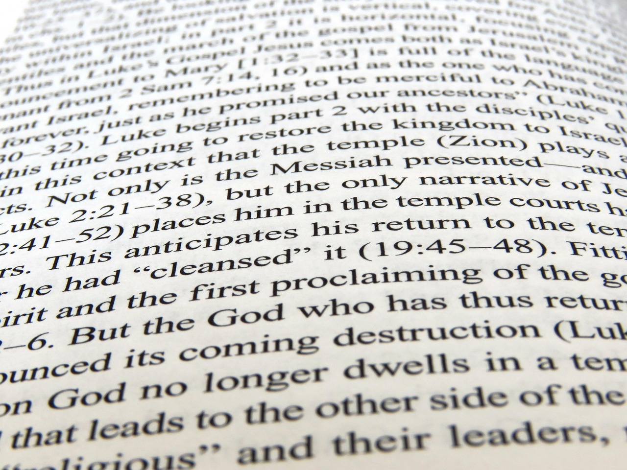 猪手资讯，美食探索与行业动态深度剖析