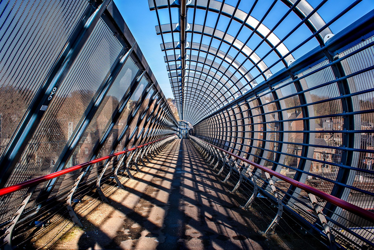 圆木行情深度解析与展望