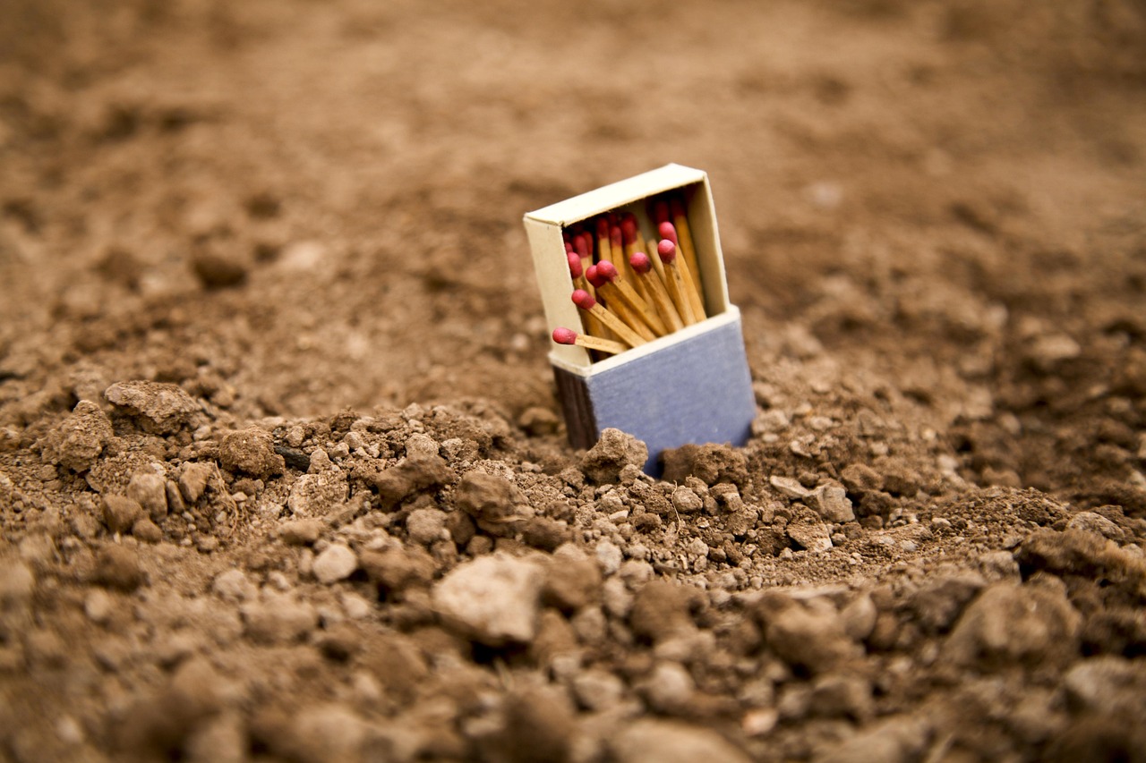 内乡疫情动态，坚守与希望的力量的故事