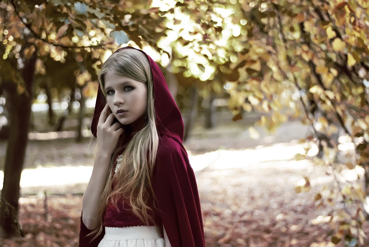 桔梗花背后的故事，电视剧世界中的美丽探寻