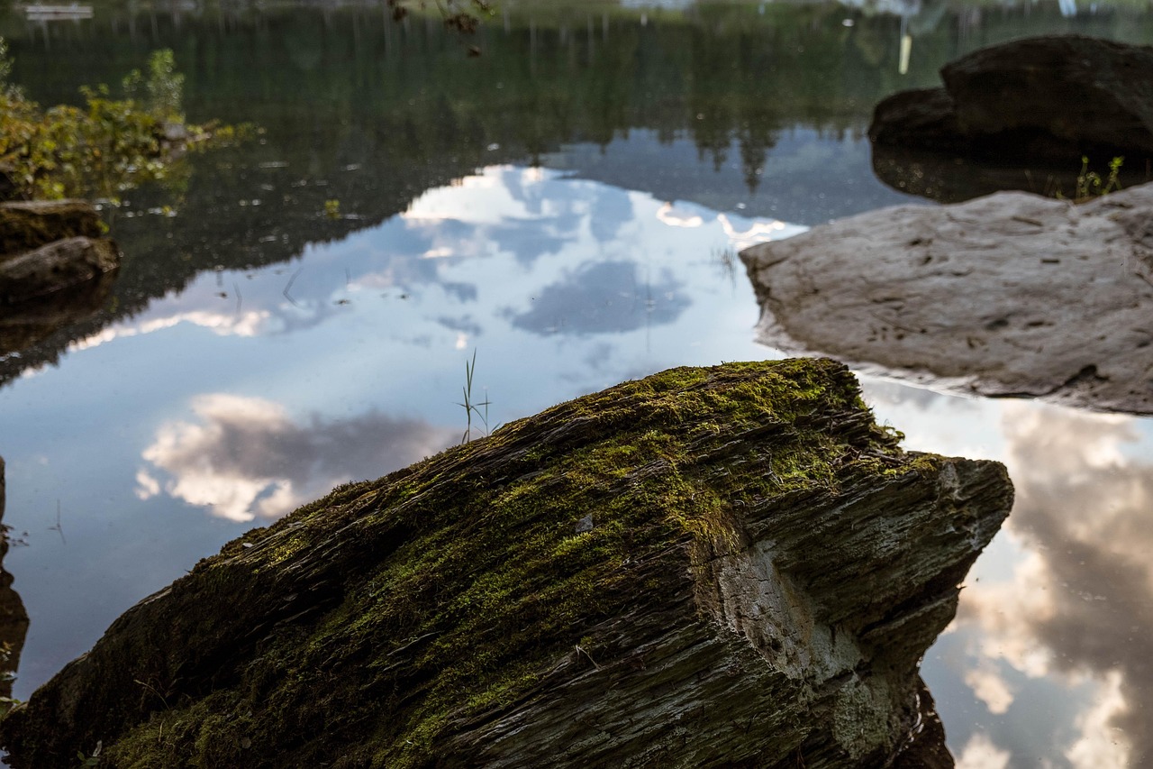 七乐彩最新动态解析与玩法指南