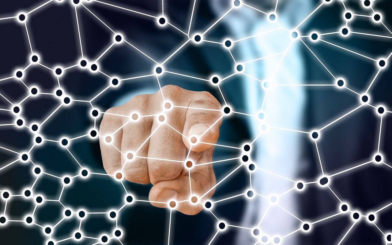 荔枝行情深度解析,2017年的市场表现与趋势分析