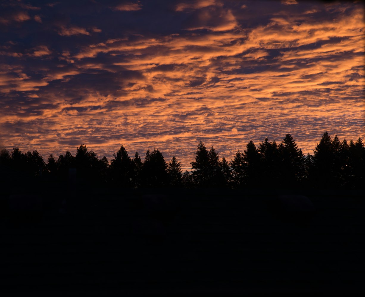 抖音最新动态,潮流先锋,未来趋势探索
