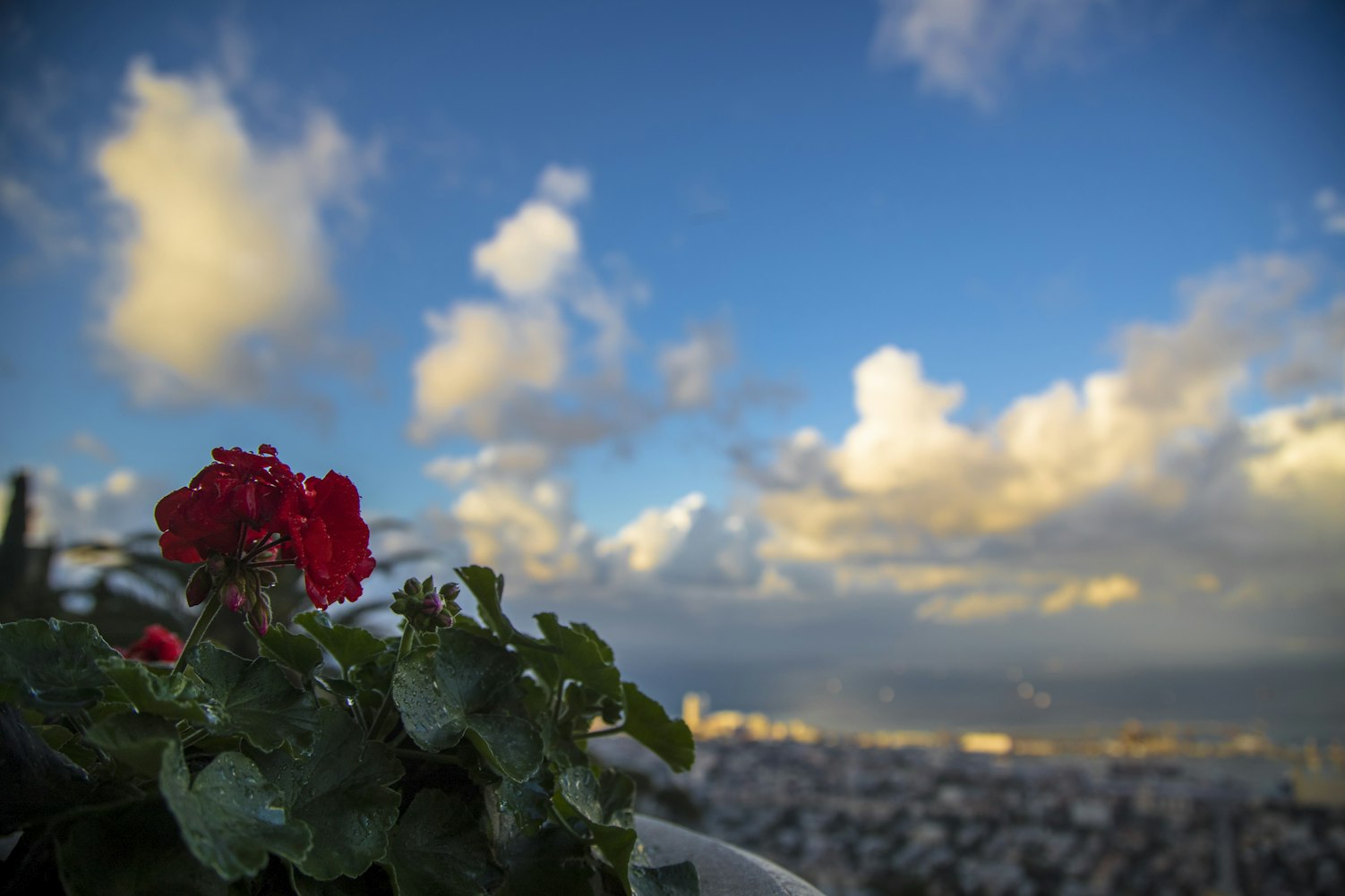 以色列签证最新动态详解,全面解读与深度探讨