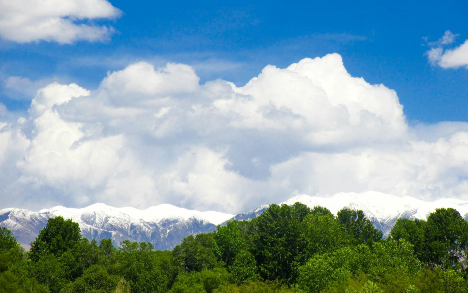 青海女明星，高原独特魅力的璀璨之星