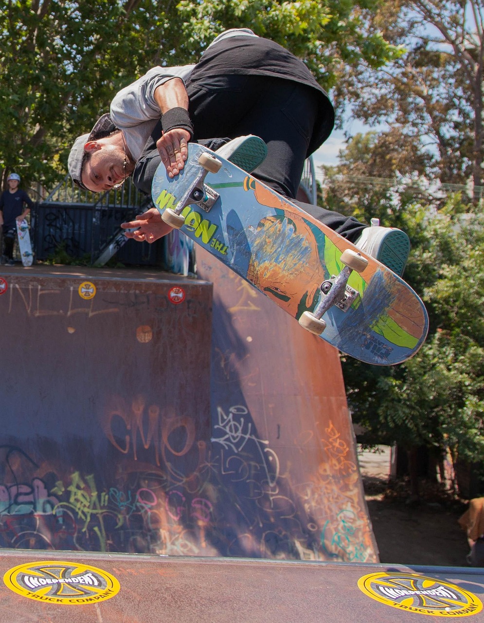 民生凤凰城动态更新,城市发展与民生福祉的同步迈进