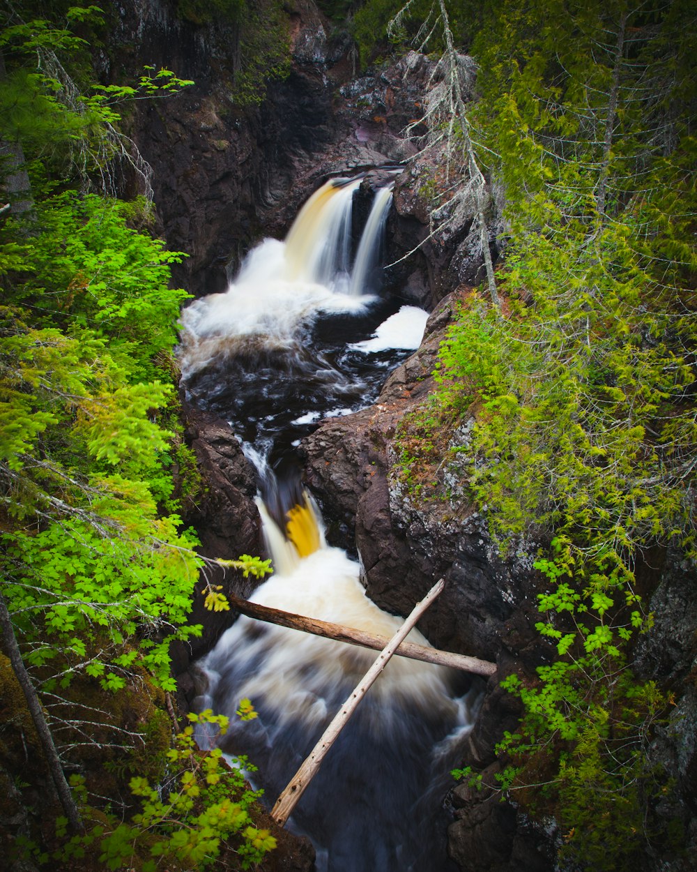民生凤凰城动态更新,城市发展与民生福祉的同步迈进