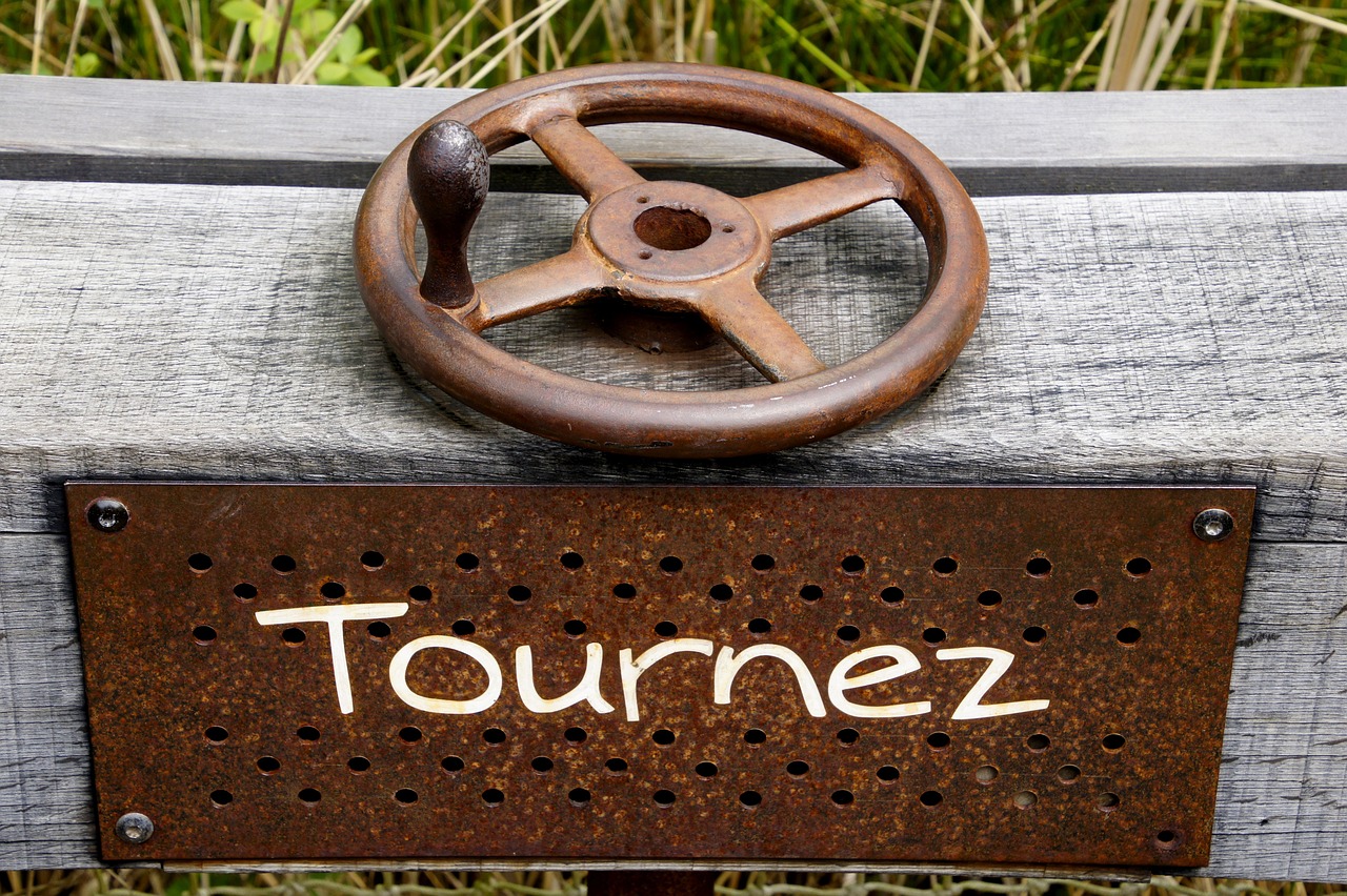 驾考科目五最新动态概览